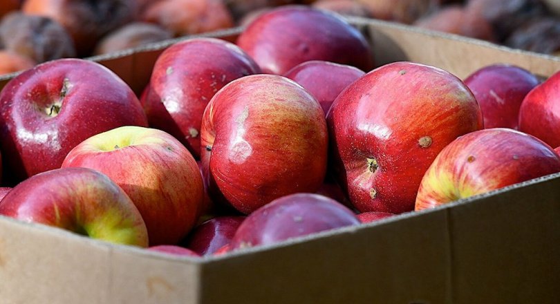 საქართველომ ვაშლისა და მანდარინის ექსპორტიდან $3.4 მილიონი მიიღო