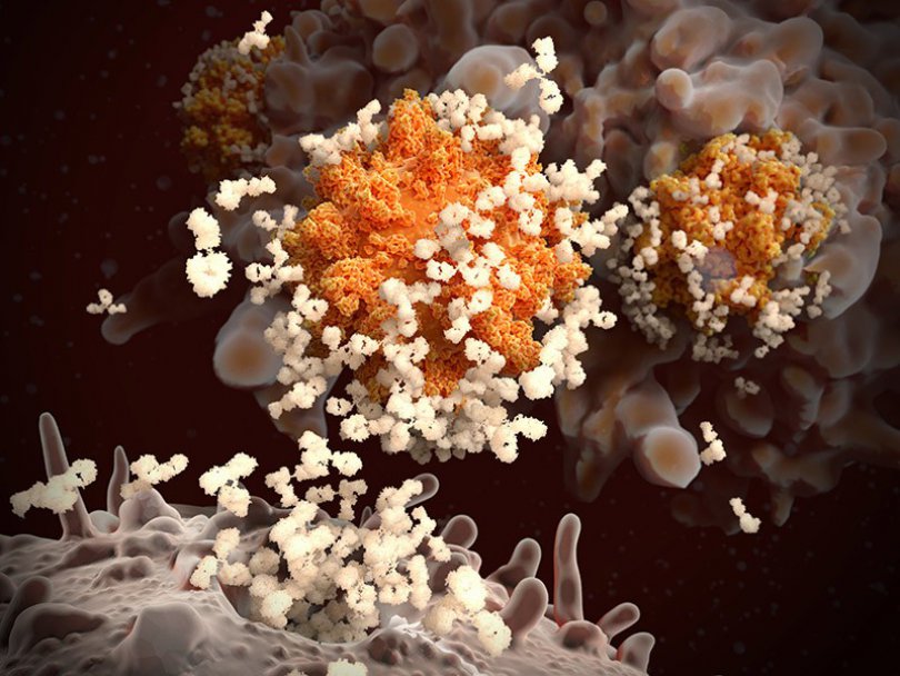 Covid-ინფიცირებულ HIV პაციენტს ვირუსის 21 მუტაცია განუვითარდა - კვლევა
