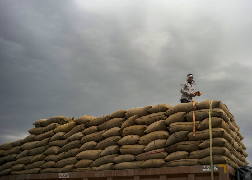 ინდოეთი ბრინჯის ექსპორტის შეზღუდვას აპირებს