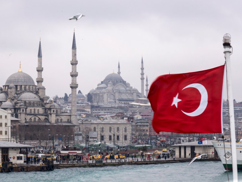 თურქეთმა 2022 წელს თმის გადანერგვის სერვისით $2 მილიარდის შემოსავალი მიიღო