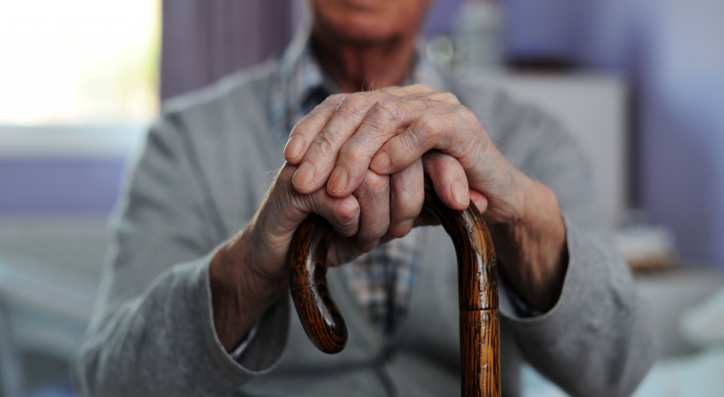 საქართველოს მოქალაქეების საპენსიო დანაზოგი ₾3.5 მილიარდამდე გაიზარდა