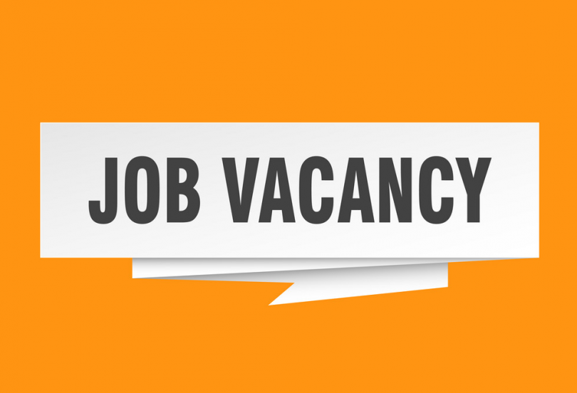 2 წლის განმავლობაში პირველად, დეკემბერში jobs.ge-ზე ვაკანსიები შემცირდა - PMC
