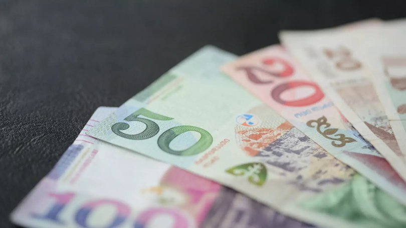 აგვისტოში ხელფასის მიმღებთა 37% თვეში ₾2,400 ან მეტს იღებდა